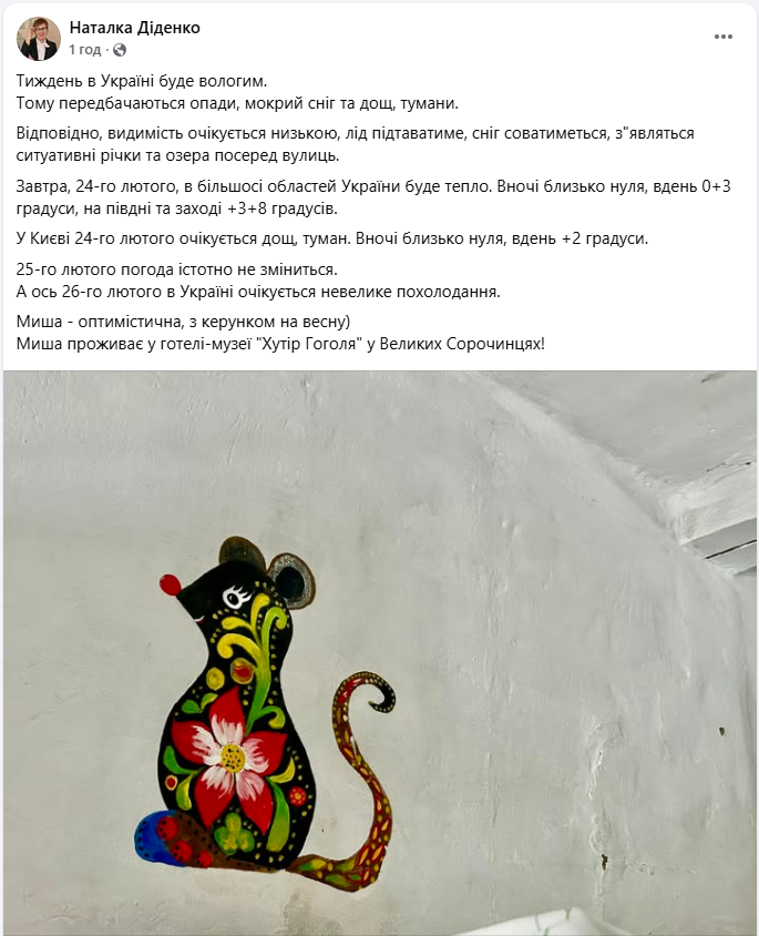 Мокрий сніг, дощ, ожеледиця і підйом води в річках: де в Україні погода завтра небезпечна 2