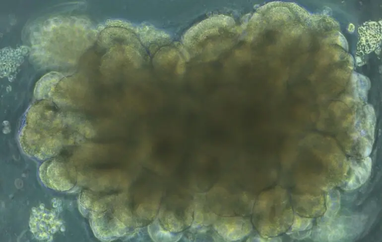 Науковці з лабораторії успішно вирішили елементарну інженерну задачу. 1