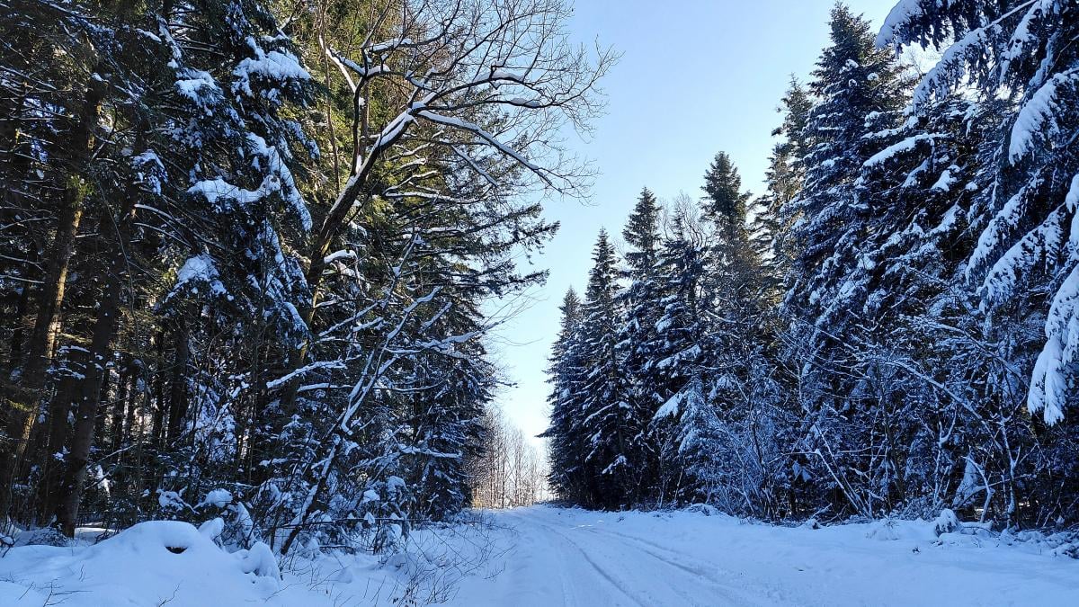 Перед вихідними в Україні стане холодніше