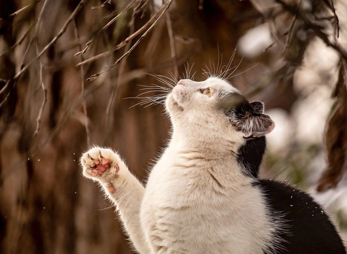 Перші весняні сигнали: синоптик заговорив про зміну погоди в Україні