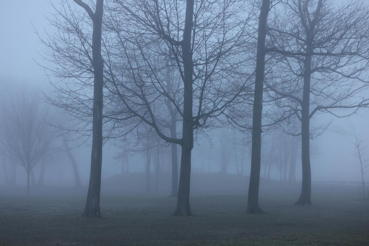 У Дніпрі синоптики оголосили жовтий рівень небезпеки (інфографіка). 1 Синоптики оголосили у Дніпрі жовту небезпеку (інфографіка)