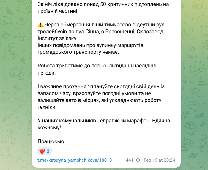 Сніговий колапс і пів метра води: де негода паралізувала життя українців (фото, відео) 7