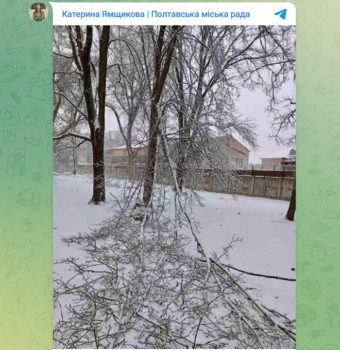 Сніговий колапс і пів метра води: де негода паралізувала життя українців (фото, відео) 9