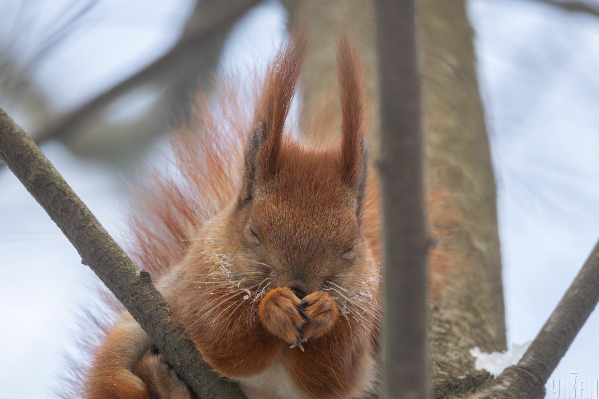 Сьогодні на киян чекає 10-градусний мороз
