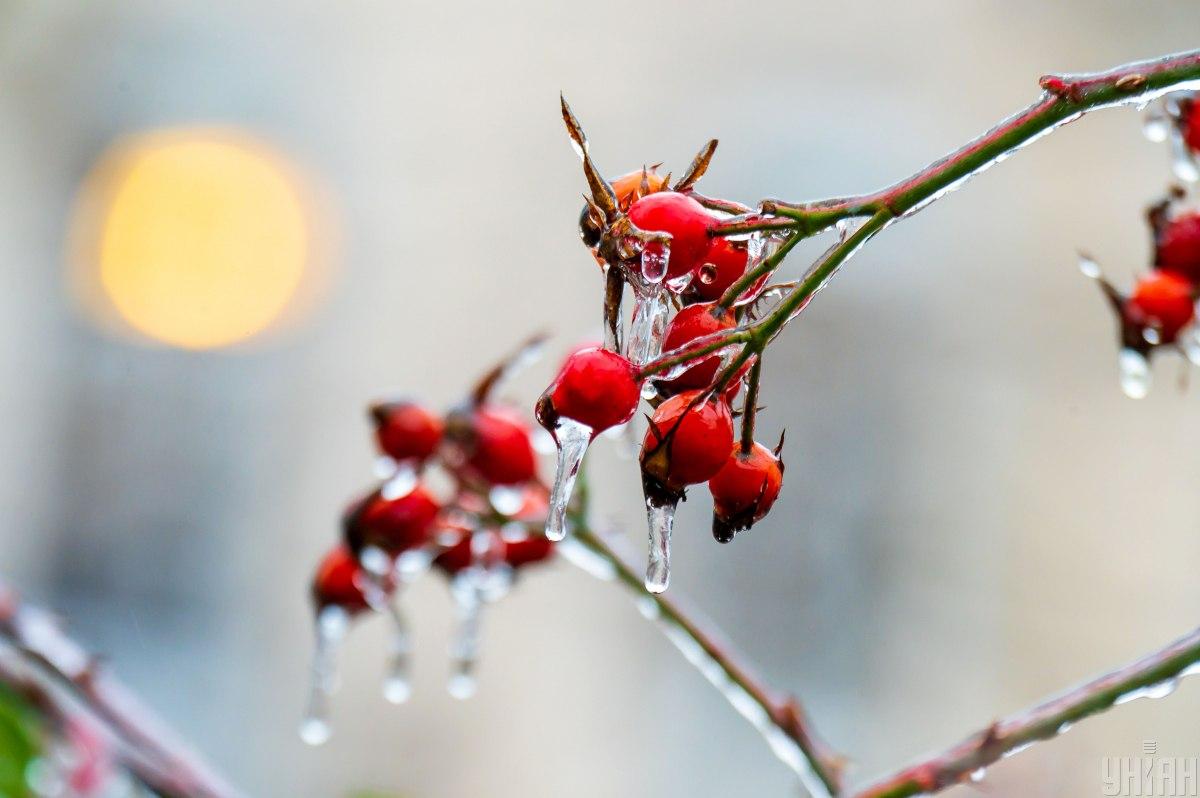 У Харкові на сьогодні запроваджено І рівень небезпеки (інфографіка)