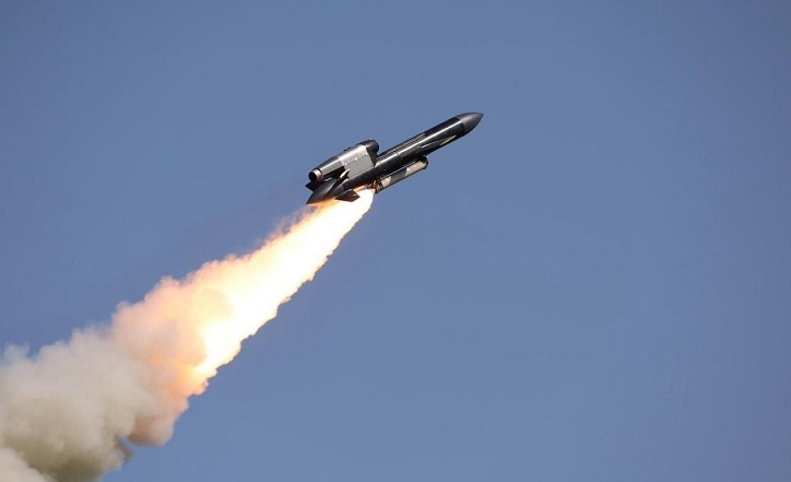 Украине требуется больше ракет «Фламинго» вместо новых ЗРК Patriot Україні необхідно більше ракет типу «Фламінго» замість нових зенітних ракетних комплексів Patriot. 1