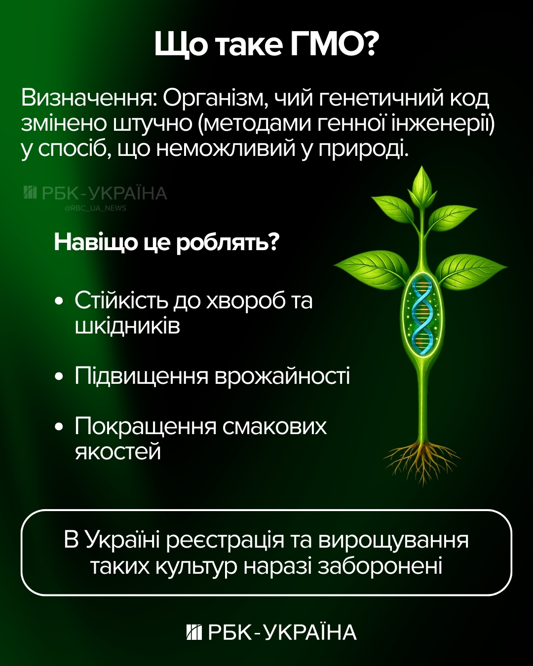 Україна без ГМО: які нові заборони та правила запрацюють для аграріїв у 2026 році 3