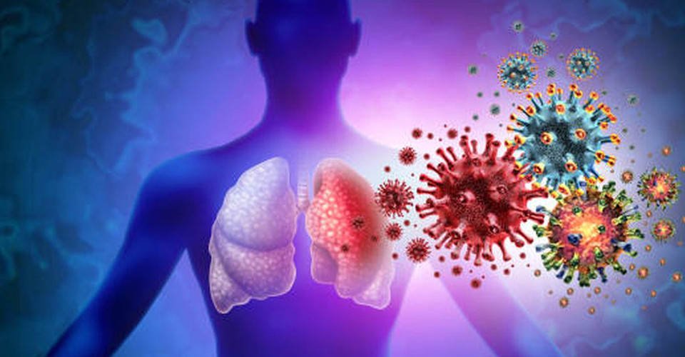 В Азії зафіксовано поширення вірусу Nipah: в Індії підтверджено два випадки інфікування. 1