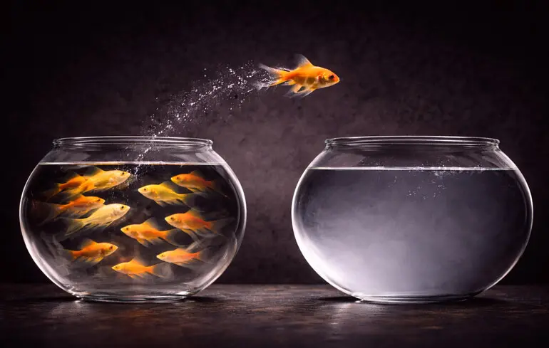 Вибори в Україні 2026 року: Зеленський розробляє план для отримання другого терміну в умовах війни. 1