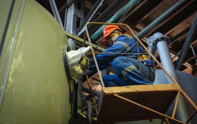 Замість дорогого газу. Як верба може врятувати громади від холоду взимку 1