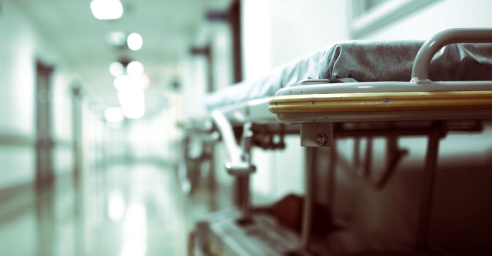 Зараження від тварин та вакцини відсутні: що відомо про небезпечний вірус Nipah. 1