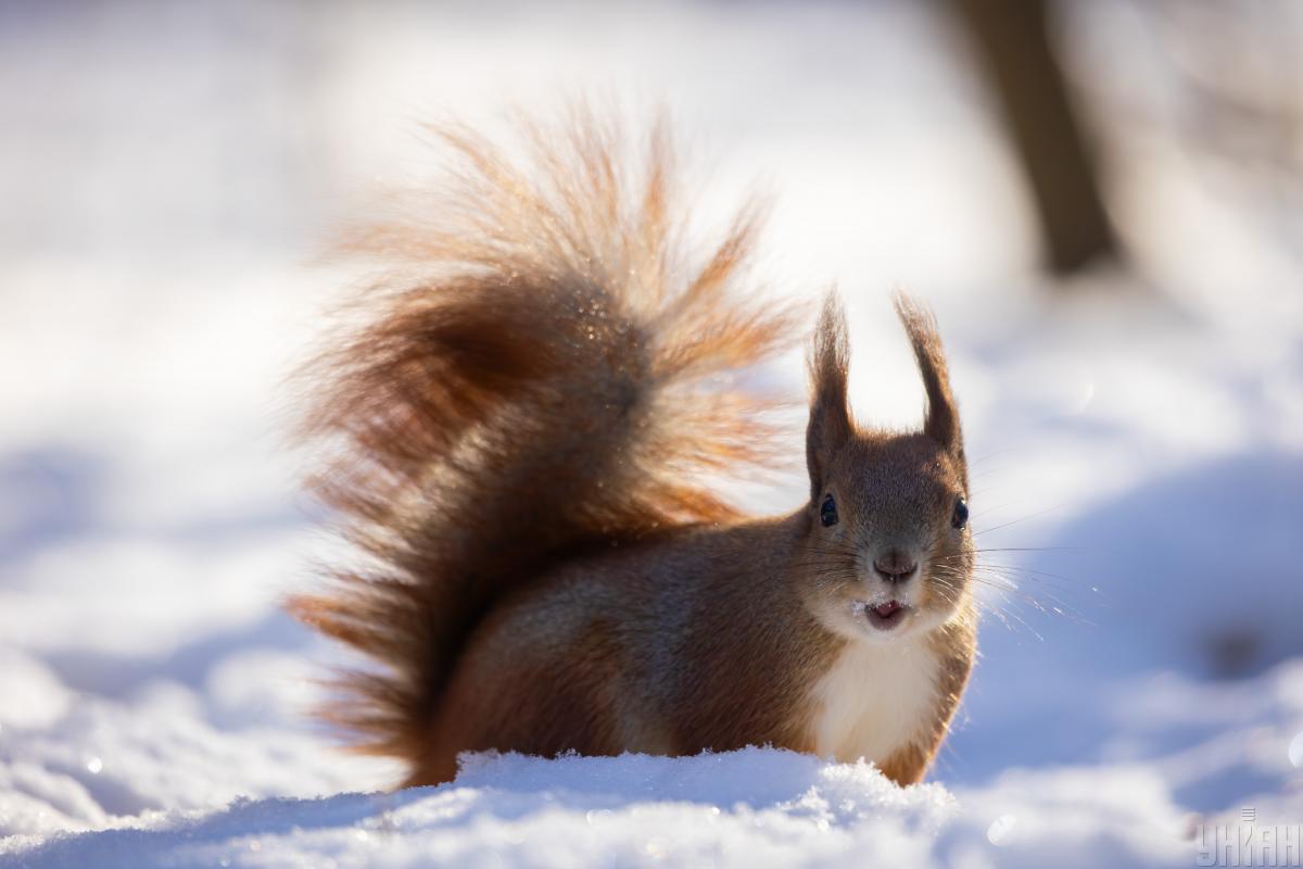 Завтра в Києві буде найхолодніший день тижня