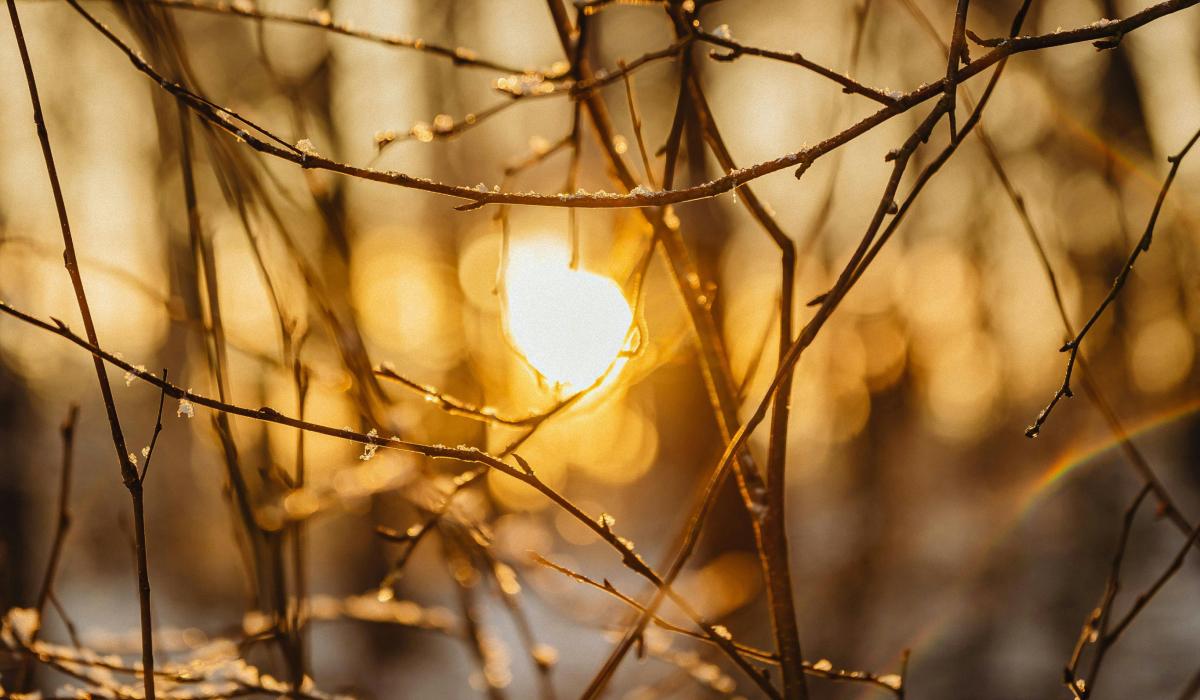 Чи буде магнітна буря 16 березня: прогноз на сьогодні (графік)