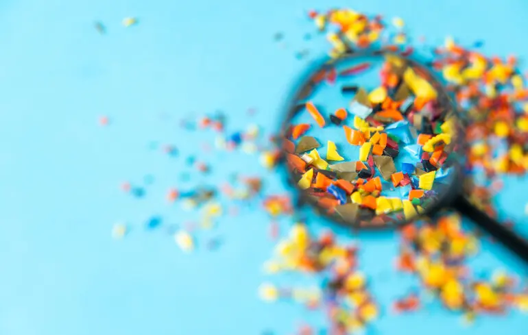 Чому організм має труднощі у боротьбі з інфекціями - мікропластик може впливати на функціонування імунних клітин - новини науки. 1