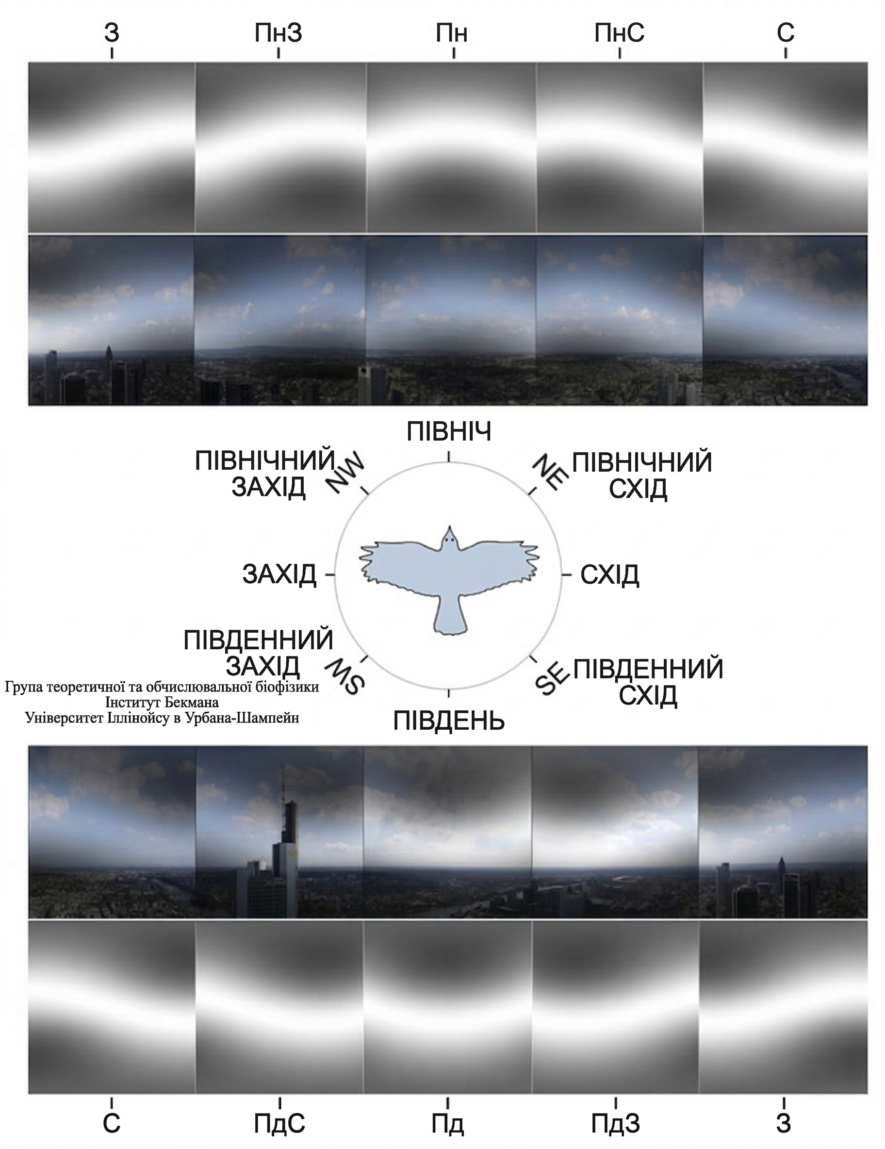 Чому птахи перетинають територію України - як функціонує квантова навігація під час міграції. Чому птахи перетинають територію України - як функціонує квантова навігація під час міграції. 2