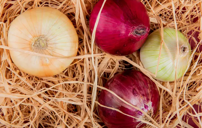 Ціни на цибулю в Україні у 2026 році – які зміни відбулися у березні, яка вартість цього овоча – новини України. 1