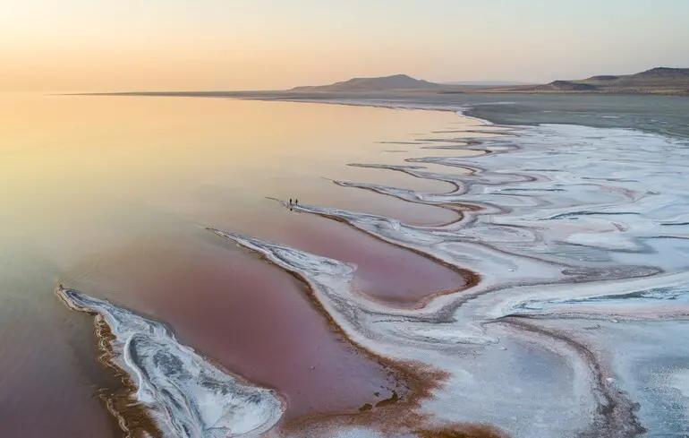 Дослідники виявили новий вид тварин у Великому Солоному озері - мікроскопічні черв'яки мешкають у солоних осадках. 1