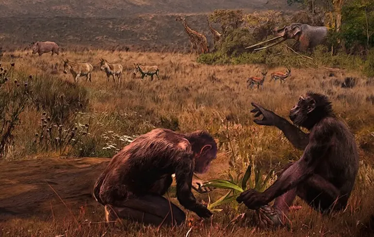 Дослідники виявили, що давні грекопітеки могли пересуватися на двох ногах. Дослідники виявили, що давні грекопітеки могли пересуватися на двох ногах. 1