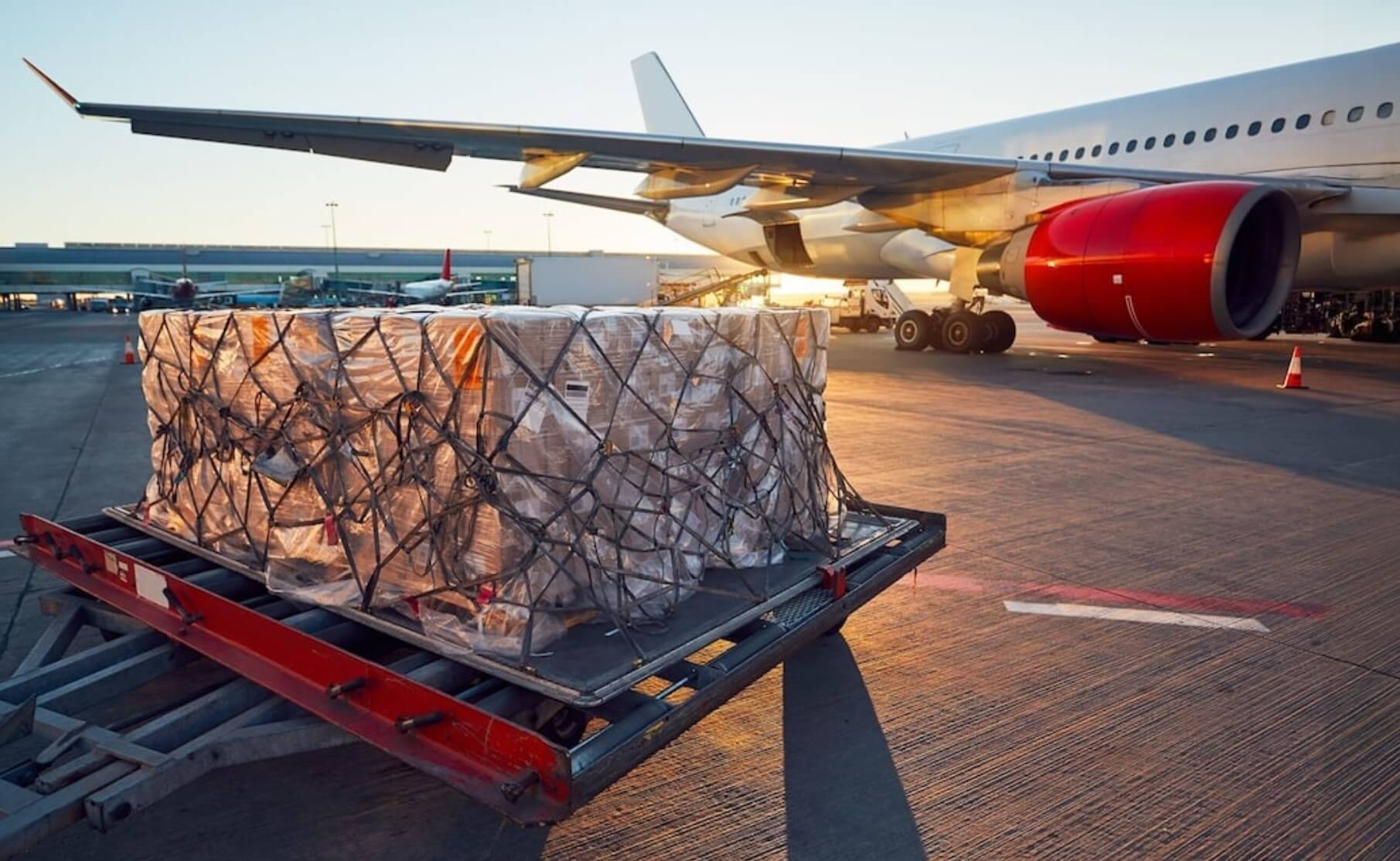 Dragon Logistics: коли всі логістичні процеси під контролем 1