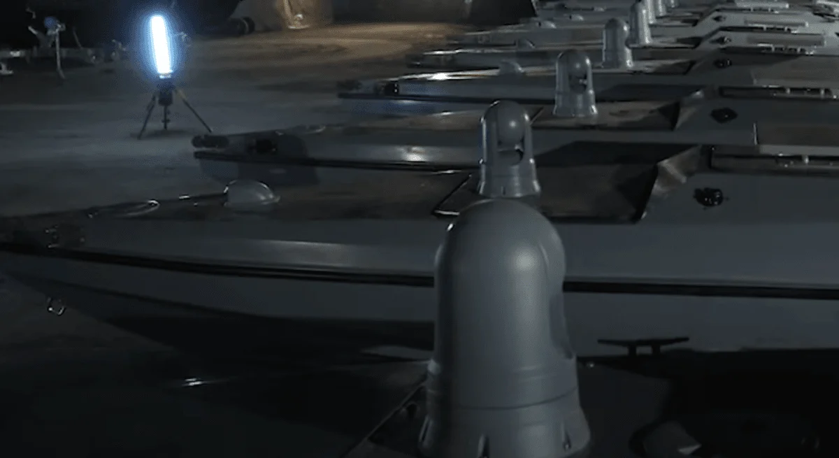 "Дуже серйозна перспектива": Риженко про можливості застосування дронів в океані