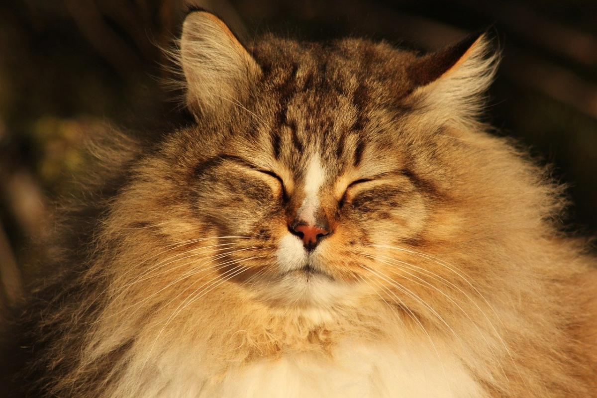 На початку тижня українців порадує майже квітневе тепло