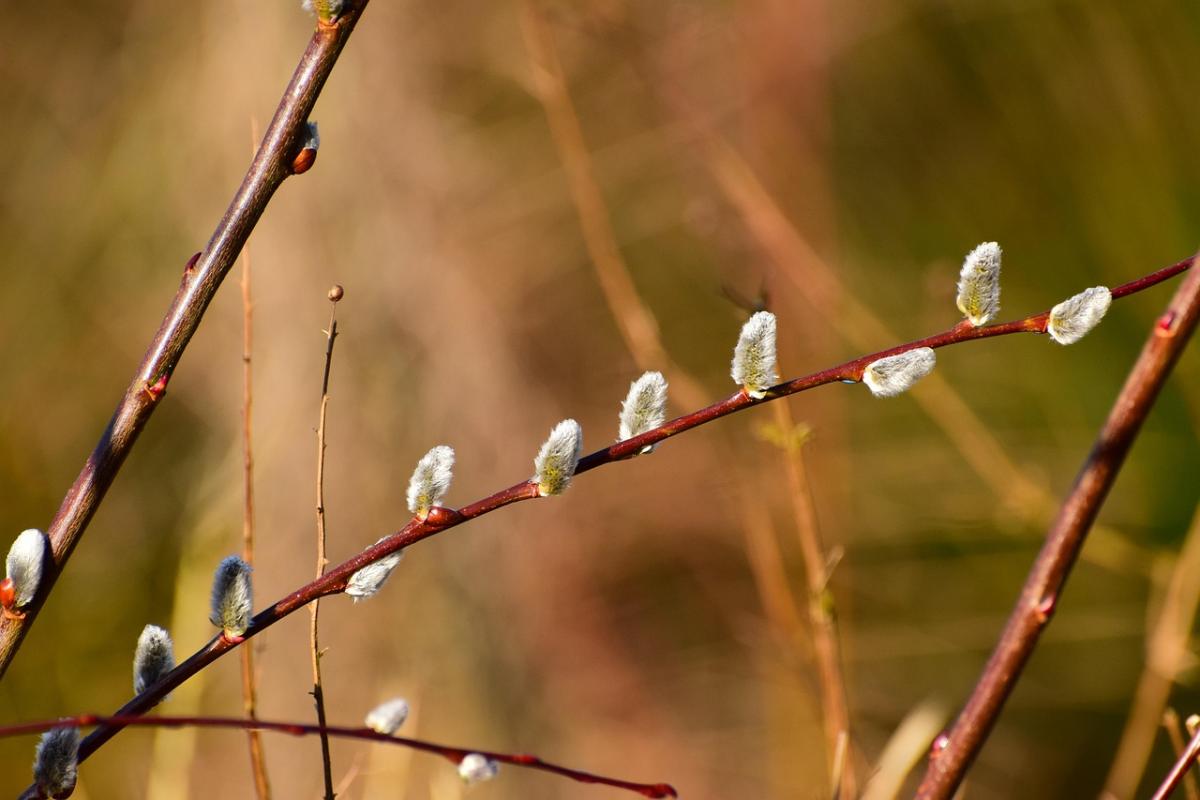 На вихідних в Україні розпочнеться зміна погодних умов. 1 На вихідних погода в Україні почне змінюватися