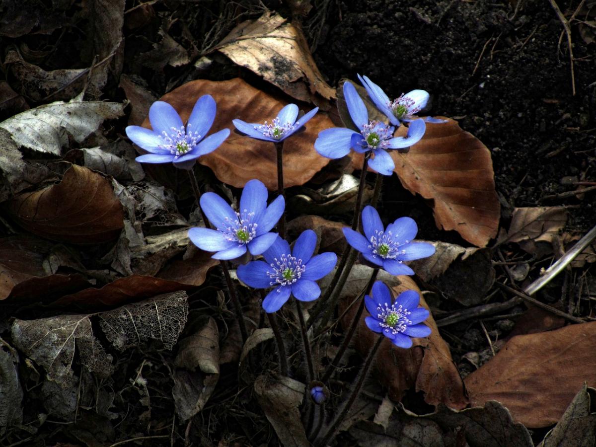 На вихідних погода в Україні почне змінюватися