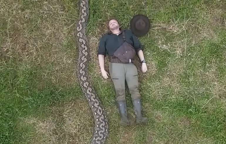 Найдовшою змією у світі вважається змія Баронеса, яка має довжину понад 7 метрів. 1