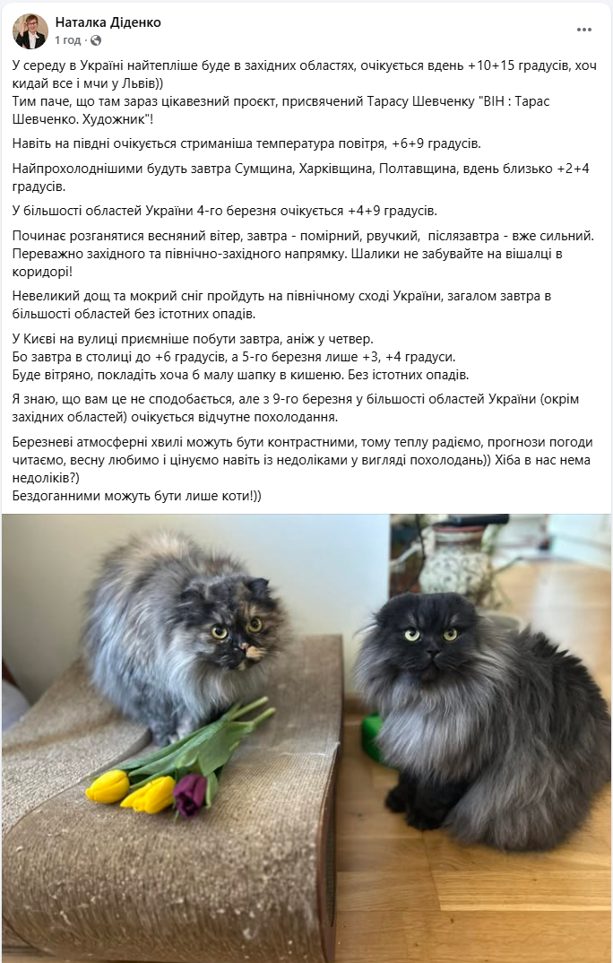 Насувається похолодання: де в Україні завтра ще буде до +15 і коли погода зміниться 2