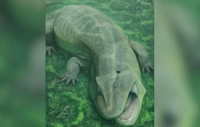 Науковці виявили рештки незвичайної істоти, що існувала 275 мільйонів років тому - фото. Науковці виявили рештки незвичайної істоти, що існувала 275 мільйонів років тому - фото. 1