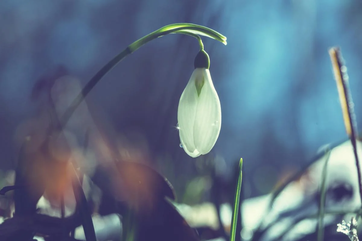 Перед вихідними температура в Україні підніметься до +17°. 1 Перед вихідними сонце розігріє Україну до +17°
