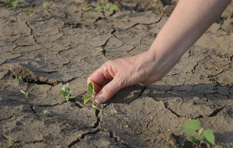 Посушливі умови сприяють розвитку у бактерій стійкості до антибіотиків, що має негативні наслідки. Посушливі умови сприяють розвитку у бактерій стійкості до антибіотиків, що має негативні наслідки. 1