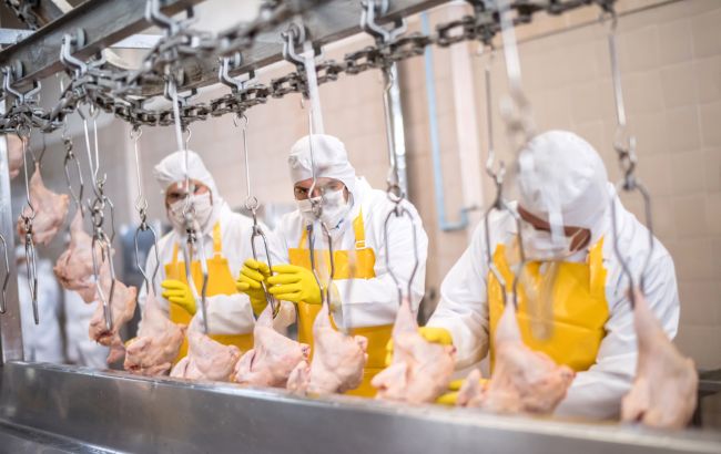 Принизливі вимоги: українські птахівники обурені новими ультиматумами Молдови 1