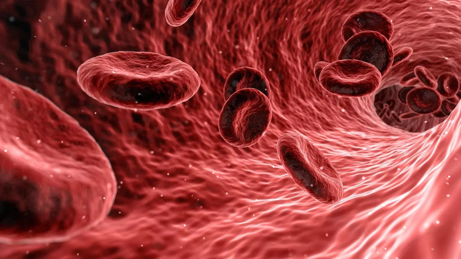 Протеїн А плазми: навіщо визначають під час вагітності 1