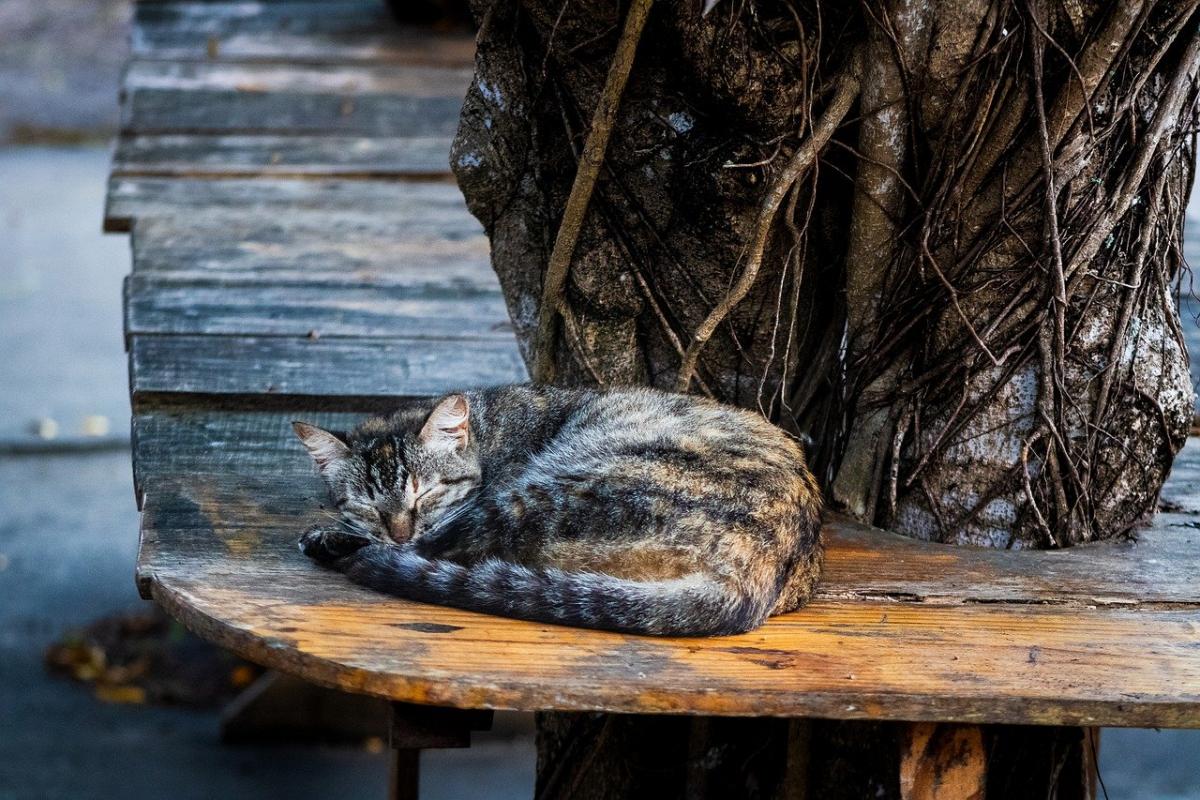 Синоптик повідомив, як антициклон змінить погоду в Україні