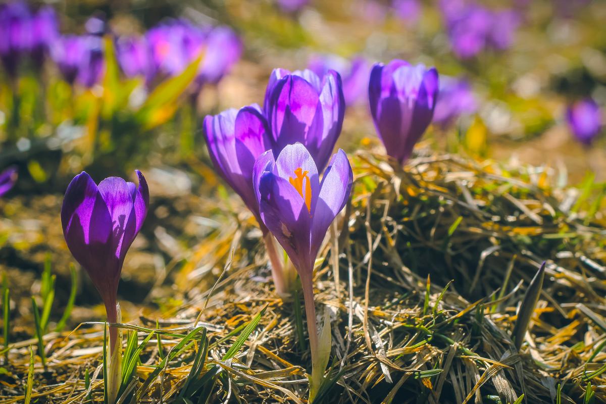 Синоптик повідомив, коли в Україні очікується підвищення температури та закінчення опадів. 1 Синоптик розказав, коли в Україні потеплішає та припиняться дощі