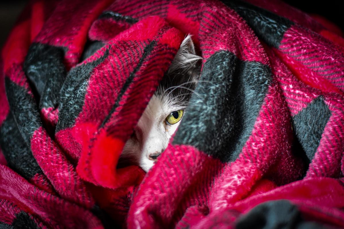 Синоптикиня Діденко озвучила, коли весняне тепло поступиться місцем холоднішим погодним умовам. 1 Синоптикиня Діденко повідомила, коли весняне тепло зміниться на холод