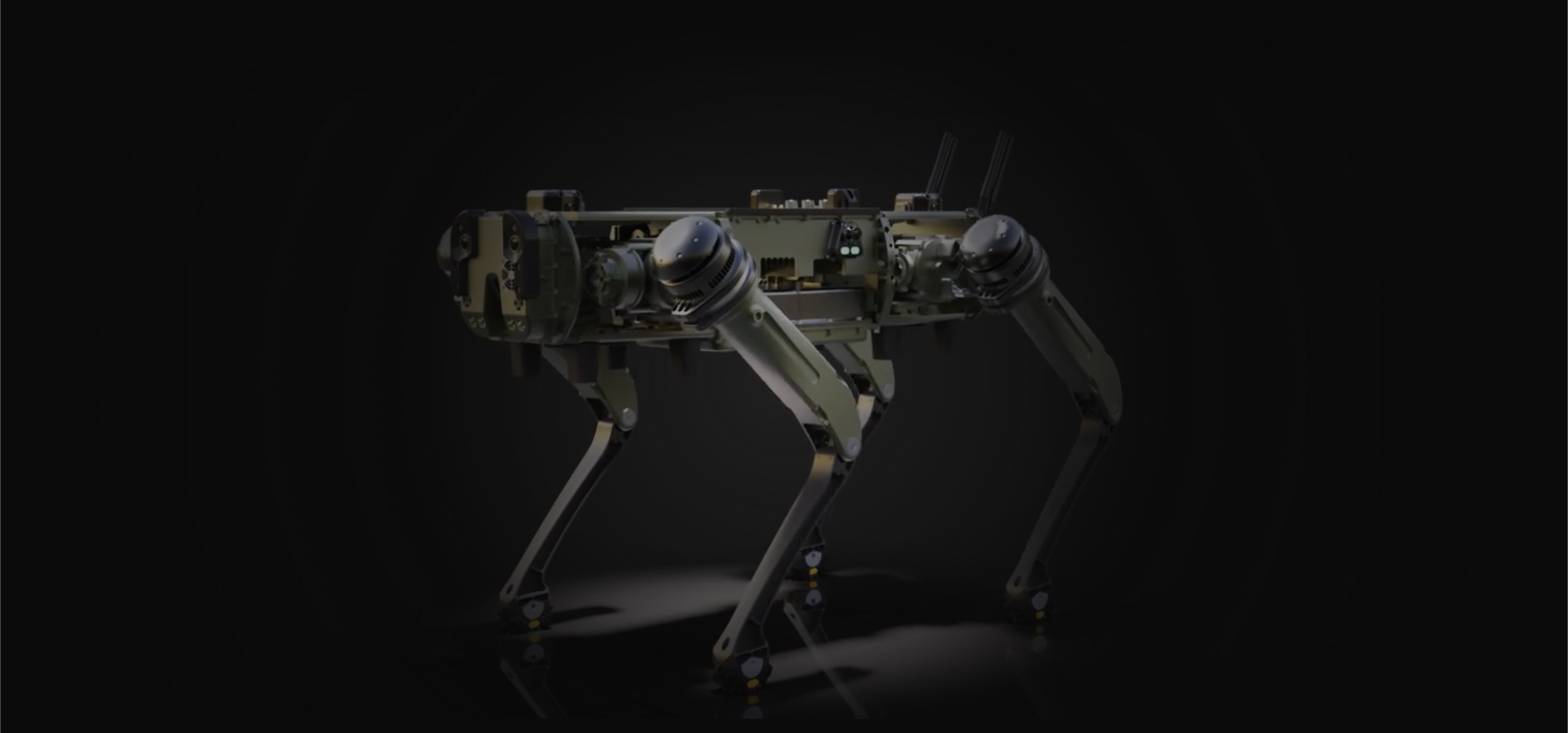 Службові собаки забезпечують охорону центрів обробки даних, а компанії інвестують у безпеку до 300 000 доларів. 3