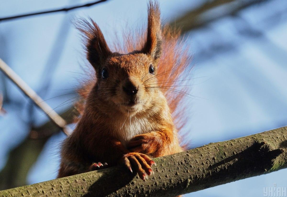Сьогодні в Києві буде останній теплий день перед похолоданням