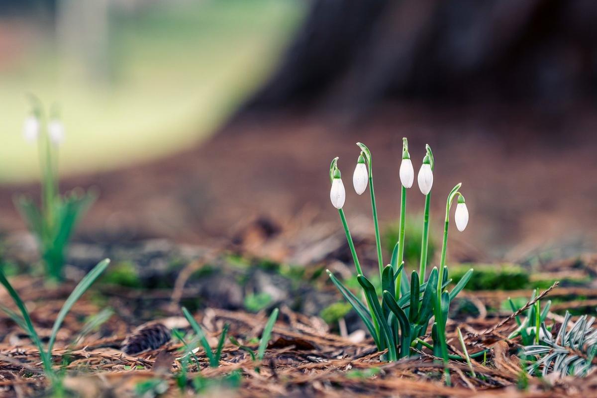 Тішитися теплом будемо недовго: синоптикиня попередила про похолодання в Україні