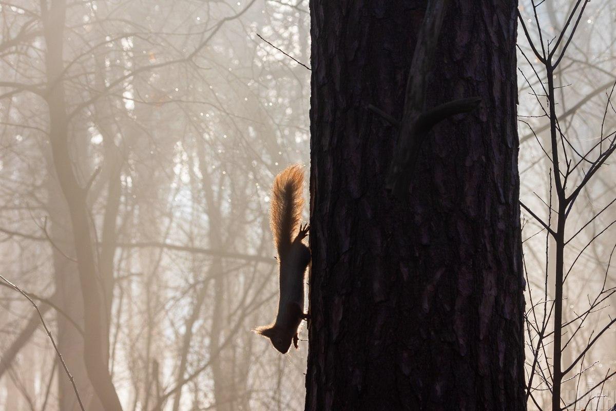 У Харкові було терміново введено І рівень небезпеки: що трапилося (інфографіка) 1 У Харкові терміново оголосили І рівень небезпеки: що сталося (інфографіка)