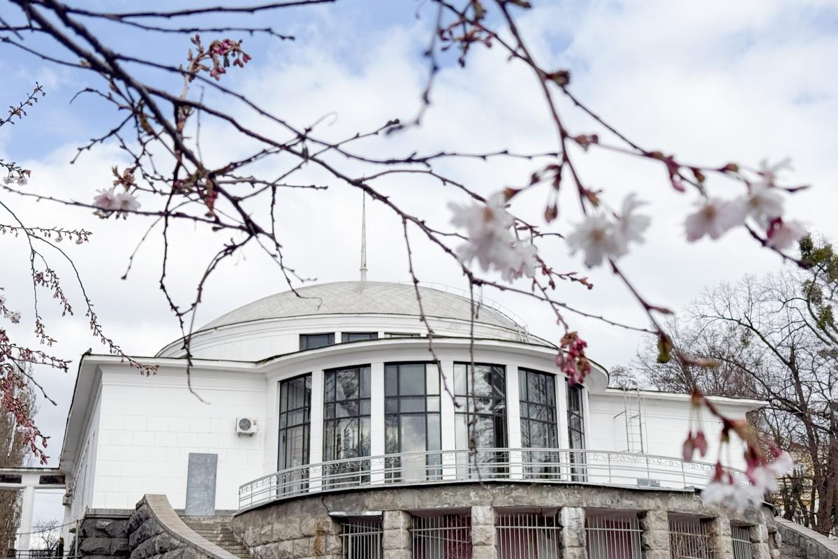 У Києві потеплішає аж до +18&deg;: коли вдарить весняне тепло (графік)