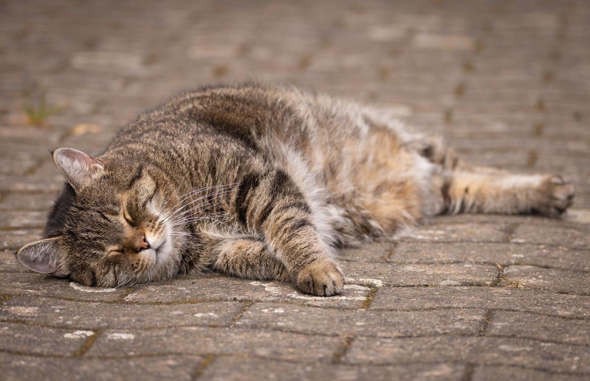 В Україні потеплішає до +19&deg;: синоптики розказали, коли настане майже літо