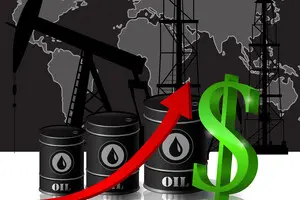 В Україні водіям у державному бюджеті передбачено компенсацію – яка сума може бути отримана. 2