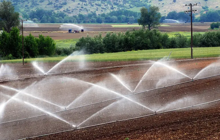 Весняна посівна кампанія - аграрії озвучили ймовірні труднощі. 1