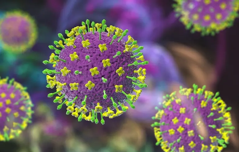 Віруси починають нападати на людей без необхідності нових мутацій для переходу від тварин. 1