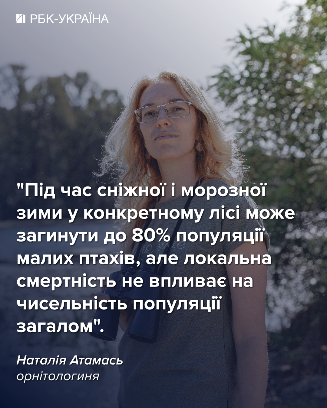 Загинуло до 80% популяції: які птахи найбільше постраждали від морозів в Україні 2