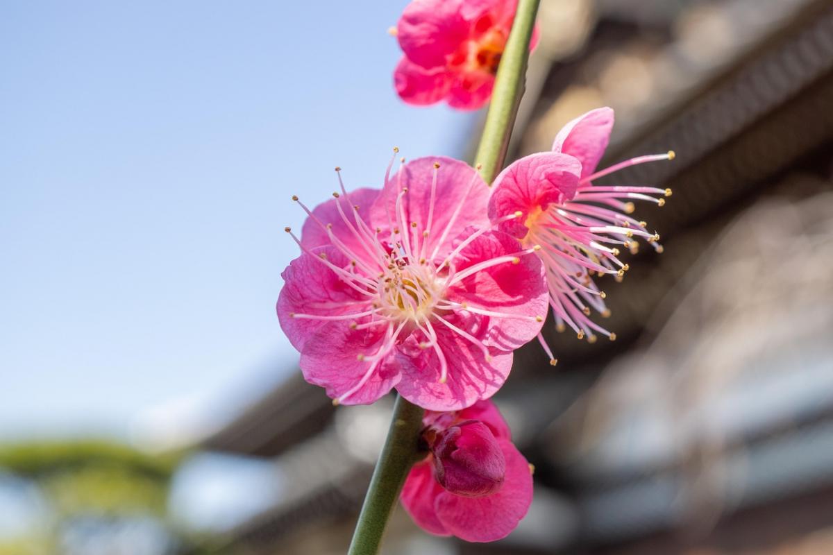 13 квітня погода в Україні нарешті почне покращуватися