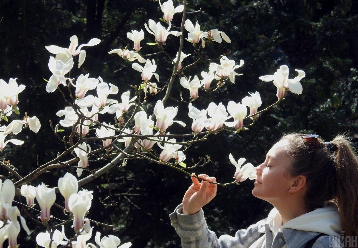 14 квітня в Україні очікується підвищення температури до +16° і вище. 1 14 квітня в Україні потеплішає до +16° і більше