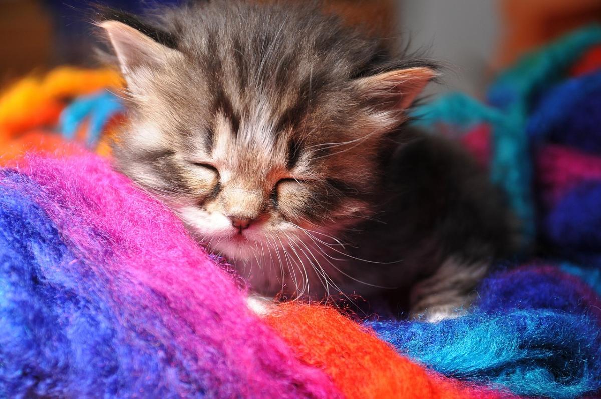 7 квітня в Україні різко похолоднішає: температура впаде по всій країні